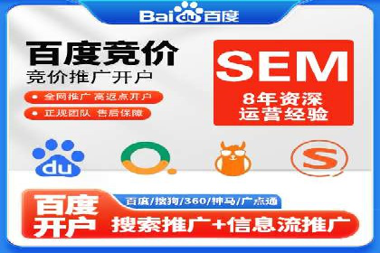 SEM主管实战技巧：案例分享与解读